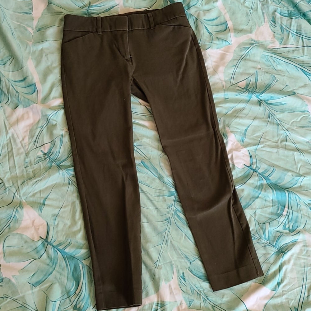 Olive dress pant